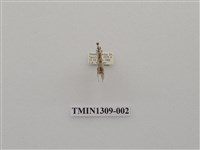 藏品(尺蠖蛾科)的圖片